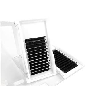 Best Camellia Lash Eyelashes Extensions Supplier